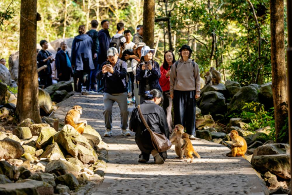抖音官方十里畫(huà)廊現場(chǎng)推廣火熱開(kāi)啟，解鎖山水人文新玩法